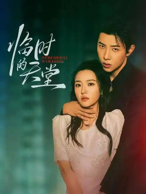 海雾之城刑侦剧免费观看